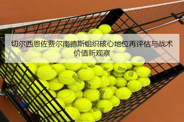 qie-er-xi-en-zuo-fei-er-nan-de-si-zu-zhi-he-xin-di-wei-zai-ping-gu-yu-zhan-shu-jia-zhi-xin-guan-cha-1-840.jpg
